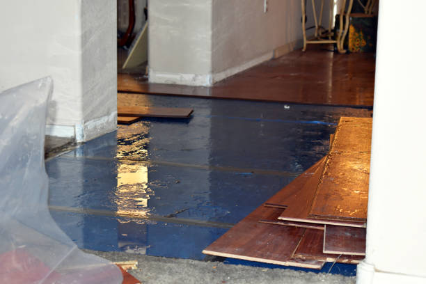 Professional Sewage Cleanup technician working in Glenville, MN